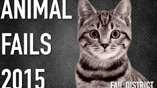 FUNNY ANIMAL FAILS 2015 | Fail Compilation