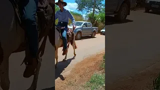 Primeira Cavalgada da APAE de Carmo do Paranaíba - MG