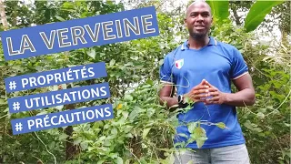 LA VERVEINE