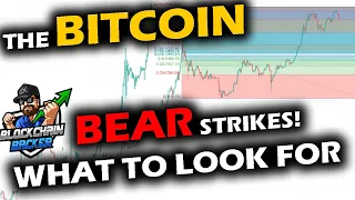 The BEAR STRIKES the BITCOIN PRICE CHART, Altcoin Market Takes a Hit, The Big Event: Retracing