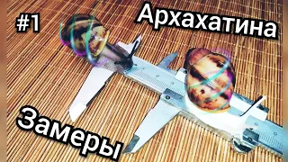 Замеры архахатин. Сутуралис.Овум. Рост улиток. Прирост улиток.