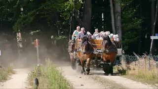 Een mooie rit met Paard en Wagen bij Hoeve Springendal