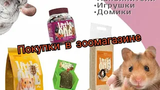 ПОКУПКИ в ЗООМАГАЗИНЕ/Что едят хомячки/ Чем кормить хомячка/ Джунгарики