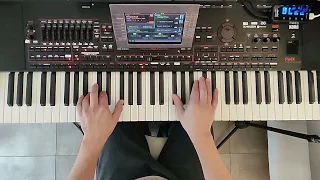 Despacito - Luis Fonsi (cover) Keyboard Arranger Korg