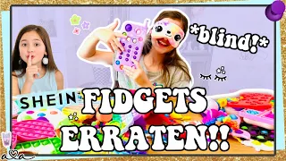 Kann Ava BLIND FIDGETS ERRATEN?! *MEGA SHEIN FIDGETS HAUL* 💜 Alles Ava