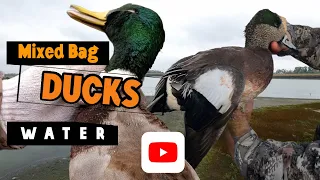 Duck Hunting over Water | North Dakota Mixed Bag