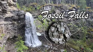 Fossil Falls - Fossil Hunting in Northern BC - 65 Million Year Old Fossils - Beautiful Waterfall