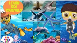 AQUATIC MAMMALS Names and Sounds for Kids to Learn|Learning Aquatic Mammals for Children|Sea Mammals