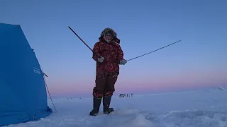 Рыбачу на ПАЛКИ- махалки, и мороз ни по чем )) 11.01.2024.