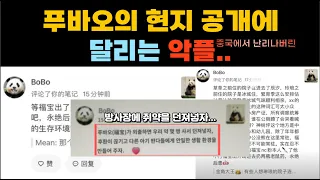 푸바오의 현지 공개에 달리는 악플.. 😥