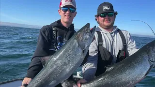 First Run of Lake Michigan SPRING KING SALMON // 20 lb Brown Trout (Report, May 4th)