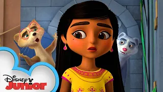 Mira Finds Dimple's Outfit! | Mira, Royal Detective | @disneyjunior