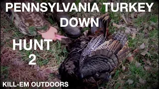 Bird Down!! PA Turkey Hunt Day 2