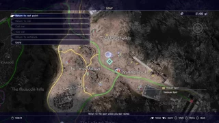 Location where Cactuar always spawn...(Chapter 1)