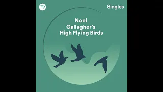 Noel Gallagher's High Flying Birds - Go Let It Out (Spotify Singles)