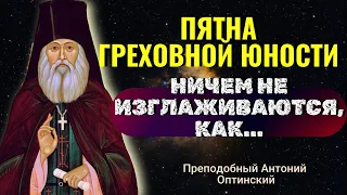 ПЯТНА ГРЕХОВНОЙ ЮНОСТИ ничем иным не смываются! Преподобный Антоний Оптинский