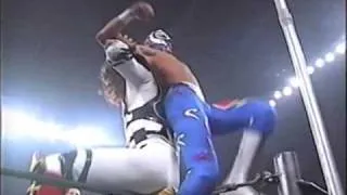 Greatest Wrestling Reversal