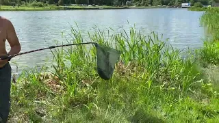 Поимка карпа на общем водоеме