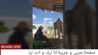 حسن البقلوطي: ما جاني جواب