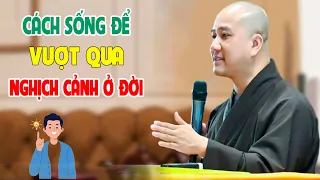 Cách Để Vượt Qua Nghịch Cảnh Cuộc Đời - Pháp Thoại Thầy Thích Pháp Hòa