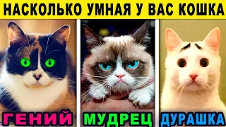 Тест! УМНАЯ ЛИ У ВАС КОШКА? Удивительный тест расскажет правду! Какая ты кошка? Какой ты котик?