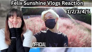 REACTION [SKZ VLOG] Sunshine Vlog 1/2/3/4/5/ + Lee Know & Felix Vlog + Mini Vlog