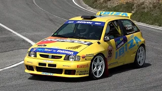 Eduard Viñolas - Isaac Borrell | Rallye Festival Hoznayo 2024 | Seat Ibiza Kit Car