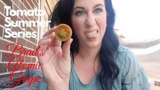 Tomato Summer Series|Episode 4|Brad's Atomic Grape| Tomato Talk & Taste Testing