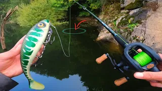 Je traque le géant d'eau douce des montagnes du Cantal !! (Pêche au leurre)