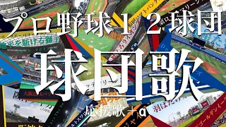 プロ野球12球団 球団歌（応援歌）＋α