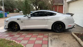 2015 Mustang GT FBO on E85 Cold Start