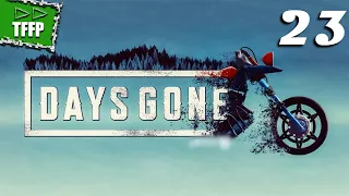 Не теряй надежду ►► Days Gone #23