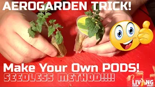 Make your OWN AeroGarden Pods - BEST Seedless Method - AEROGARDEN HACK!
