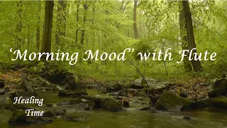 'Morning Mood' with Flute 고요하고 평온한 힐링음악🎵 + 새소리🐦 + 물소리💧