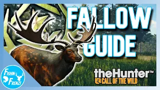 The Ultimate GREAT ONE Fallow Deer Guide! | theHunter - Call of the Wild