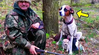 Jäger fand einen Hund mit Welpen an einem Baum gekettet. Als er näher kommt, brach er in Tränen aus!