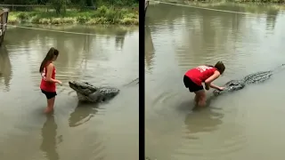 DANGEROUS Animals CAUGHT Being Friendly!