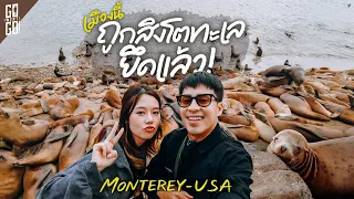 Whale Watching Capital of Monterey USA | VLOG