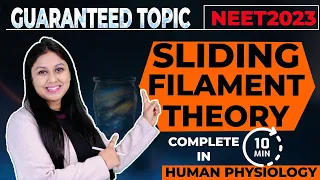 sliding filament theory | NEET | SLIDING FILAMENT THEORY in 10 minutes | Meenakshi Maam