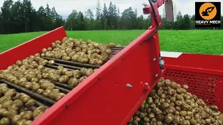 Как убирают картофель в развитых странах Европы
