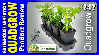 🌻242 🌻 QUADGROW 🌻 GREENHOUSE SENSATION 🌻 AUTO WATERING SYSTEM🌻