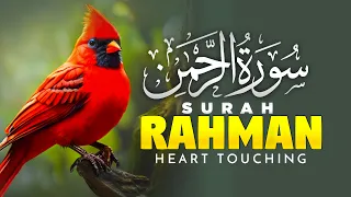 Surah Rahman Full سورة الرحمن | Ep00036 | World Most Heart Touching Recitation of Surah Rahman