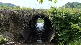 Removing Barriers: Converting Culverts to Bridges for People & Wildlife