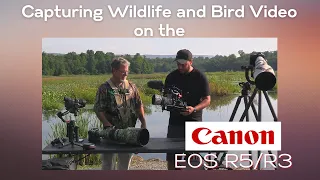 Capturing High-quality Wildlife and Bird Videos on the Canon R5 and R3