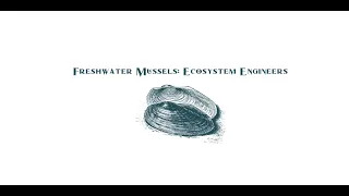 What Lies Beneath? Signature Species of the Delaware Estuary. Part 1, Freshwater Mussels