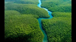 Амазонка HD Самое красивое видео