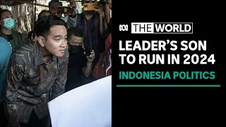 Indonesian president's son to run for office after age ruling, alongside former rival | The World