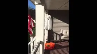 Flying Ghost Halloween Prop