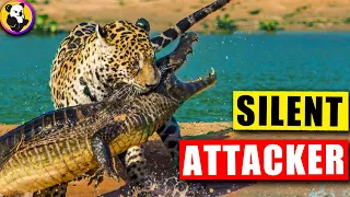 The Silent Predator: Witness a Jaguar's Terrifying Attacks