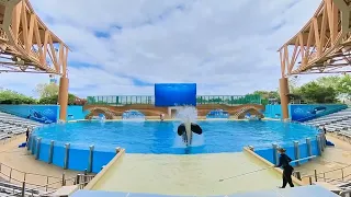 Dining with the Orcas at Seaworld Orlando